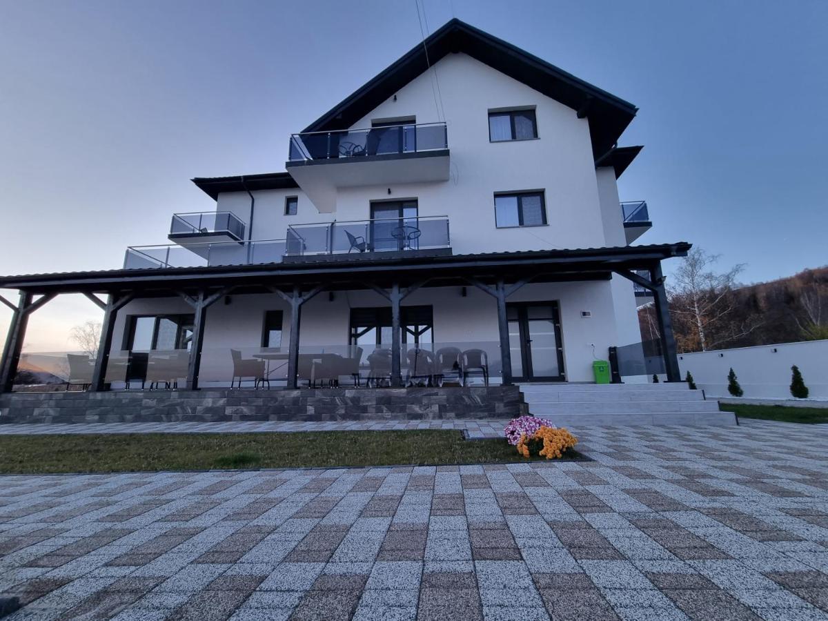 Casa De Vacanta Larisa Novaci-Straini Exterior photo